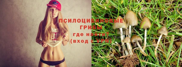 spice Балабаново