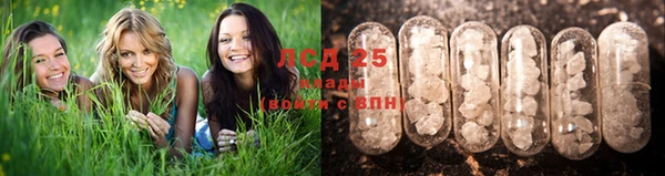 мяу мяу мука Семилуки