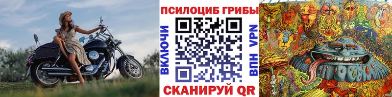 Галлюциногенные грибы мухоморы  Петров Вал 
